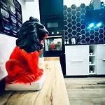 Downtown 13 Boutique * Budapest